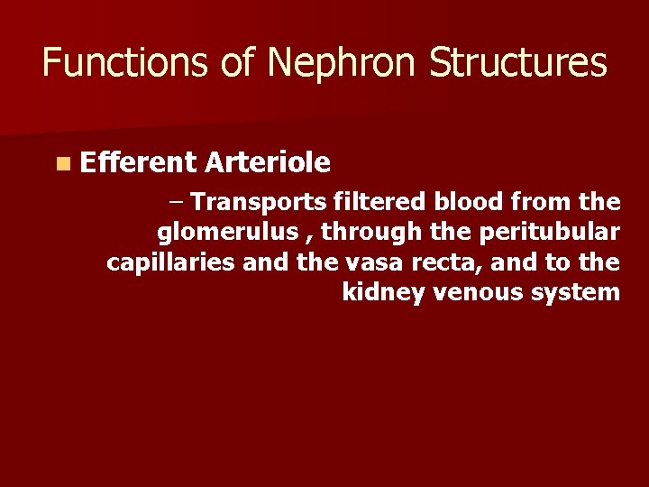 Functions of Nephron Structures n Efferent Arteriole – Transports filtered blood from the glomerulus