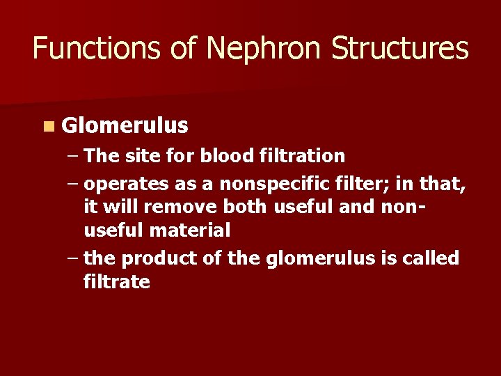 Functions of Nephron Structures n Glomerulus – The site for blood filtration – operates