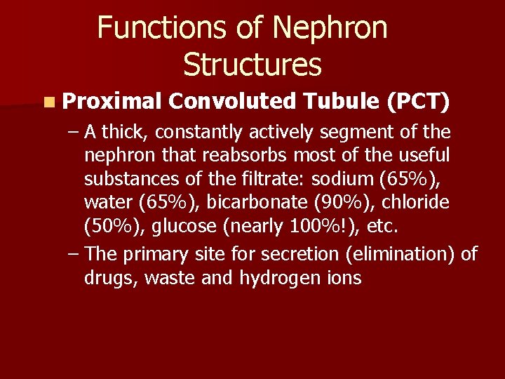 Functions of Nephron Structures n Proximal Convoluted Tubule (PCT) – A thick, constantly actively