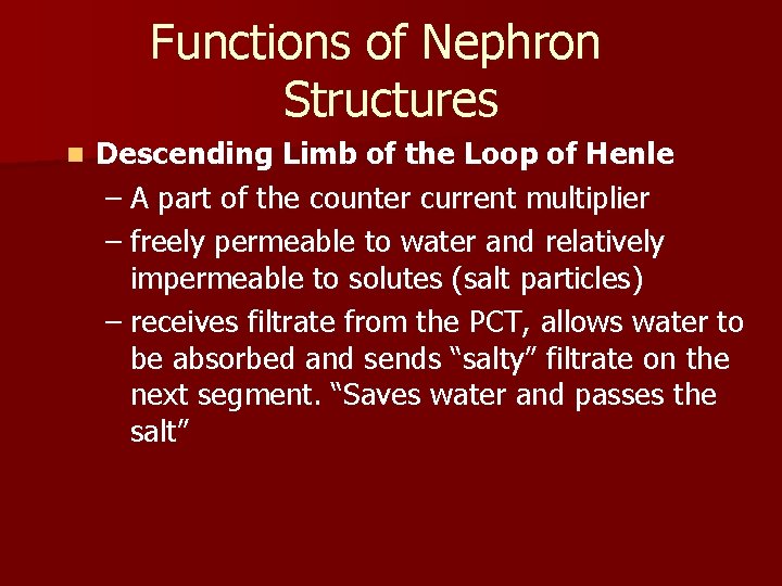 Functions of Nephron Structures n Descending Limb of the Loop of Henle – A