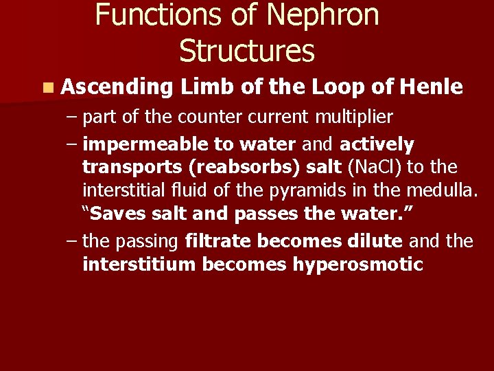 Functions of Nephron Structures n Ascending Limb of the Loop of Henle – part