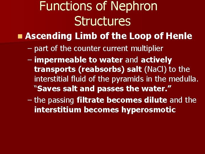 Functions of Nephron Structures n Ascending Limb of the Loop of Henle – part