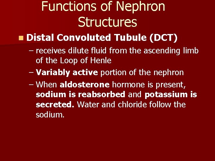 Functions of Nephron Structures n Distal Convoluted Tubule (DCT) – receives dilute fluid from