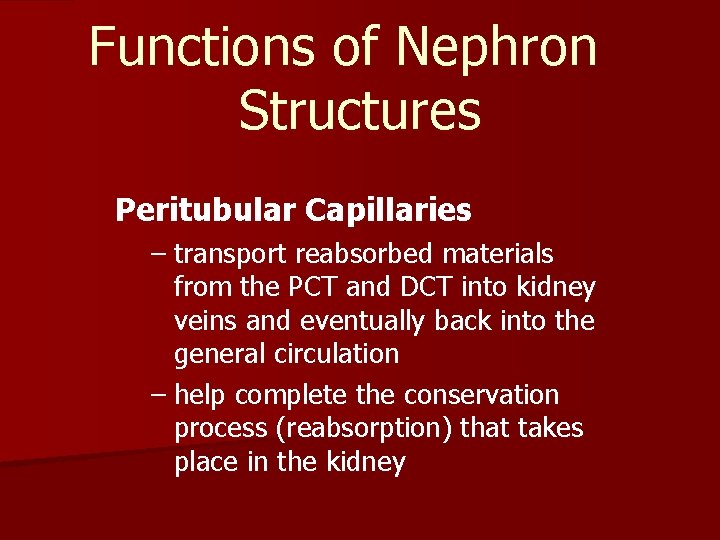 Functions of Nephron Structures Peritubular Capillaries – transport reabsorbed materials from the PCT and