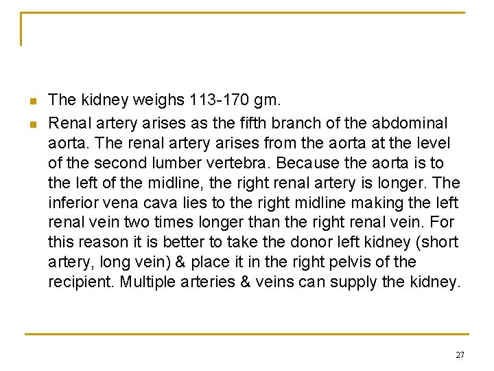 n n The kidney weighs 113 -170 gm. Renal artery arises as the fifth