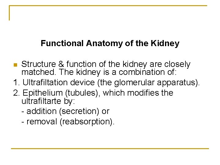 Functional Anatomy of the Kidney Structure & function of the kidney are closely matched.