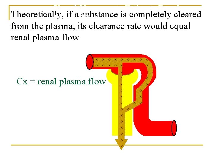 Use of Clearance to Estimate Renal Theoretically, if a substance is completely cleared Plasma