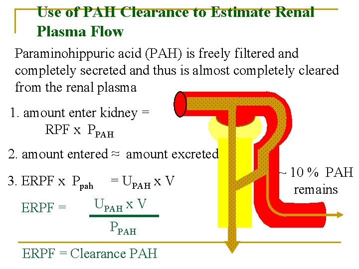 Use of PAH Clearance to Estimate Renal Plasma Flow Paraminohippuric acid (PAH) is freely