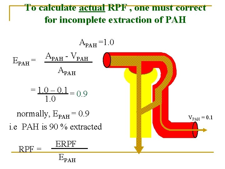 To calculate actual RPF , one must correct for incomplete extraction of PAH APAH