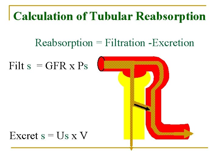 Calculation of Tubular Reabsorption = Filtration -Excretion Filt s = GFR x Ps Excret