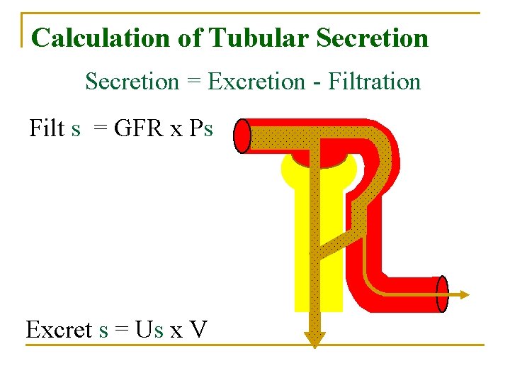 Calculation of Tubular Secretion = Excretion - Filtration Filt s = GFR x Ps