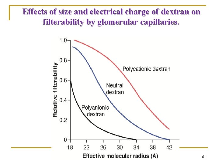 Effects of size and electrical charge of dextran on filterability by glomerular capillaries. 61