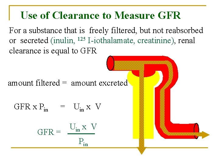 Use of Clearance to Measure GFR For a substance that is freely filtered, but