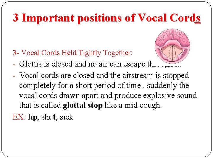 3 Important positions of Vocal Cords 3 - Vocal Cords Held Tightly Together: - 3 Important positions of Vocal Cords 3 - Vocal Cords Held Tightly Together: -