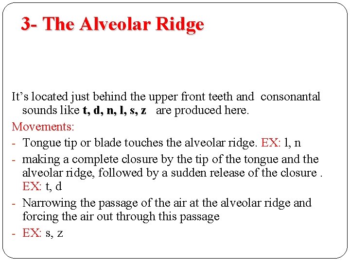 3 - The Alveolar Ridge It’s located just behind the upper front teeth and 3 - The Alveolar Ridge It’s located just behind the upper front teeth and