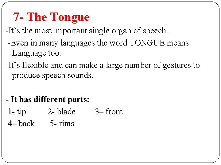 7 - The Tongue -It’s the most important single organ of speech. -Even in 7 - The Tongue -It’s the most important single organ of speech. -Even in