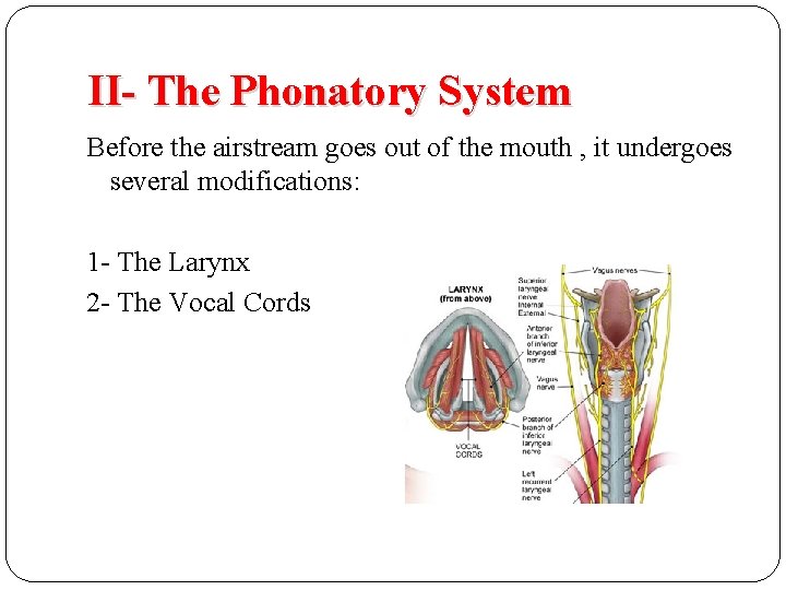 II- The Phonatory System Before the airstream goes out of the mouth , it II- The Phonatory System Before the airstream goes out of the mouth , it