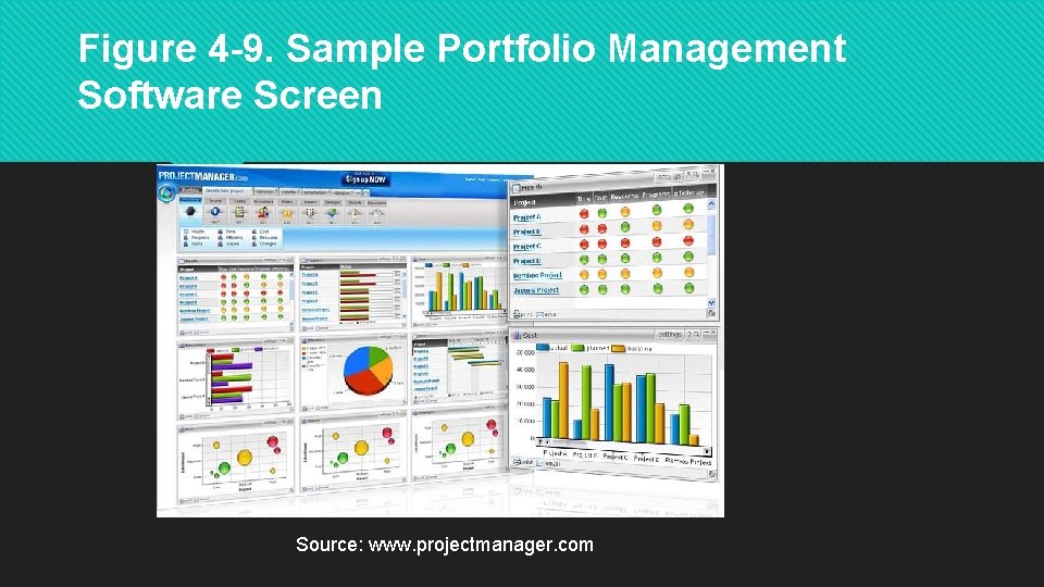 Figure 4 -9. Sample Portfolio Management Software Screen Source: www. projectmanager. com 