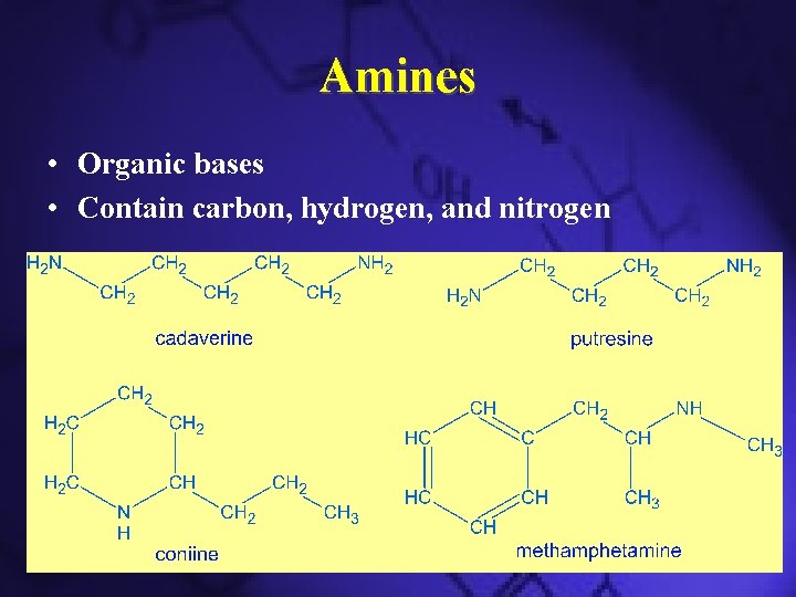 Amines • Organic bases • Contain carbon, hydrogen, and nitrogen 