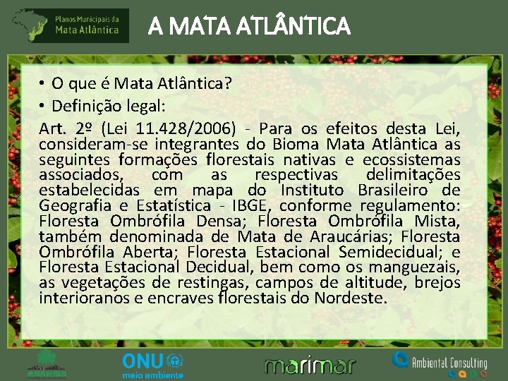 A MATA ATL NTICA • O que é Mata Atlântica? • Definição legal: Art.