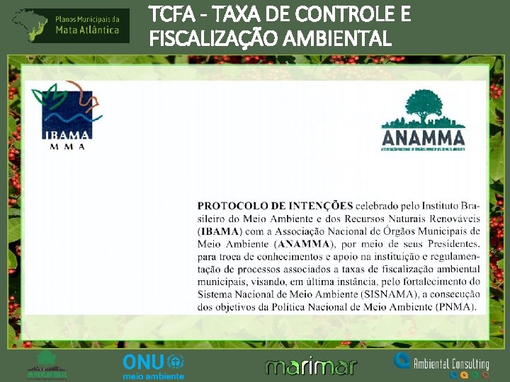 TCFA - TAXA DE CONTROLE E FISCALIZAÇÃO AMBIENTAL 