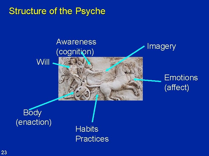 Structure of the Psyche Awareness (cognition) Imagery Will Emotions (affect) Body (enaction) 23 Habits