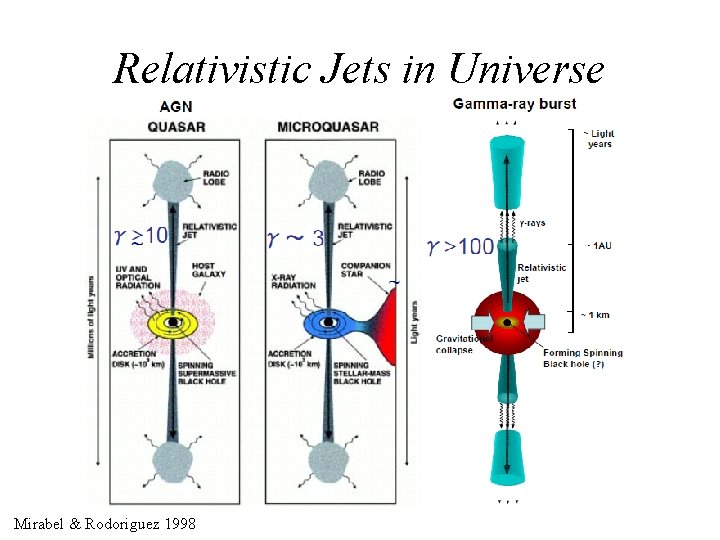 Relativistic Jets in Universe Mirabel & Rodoriguez 1998 
