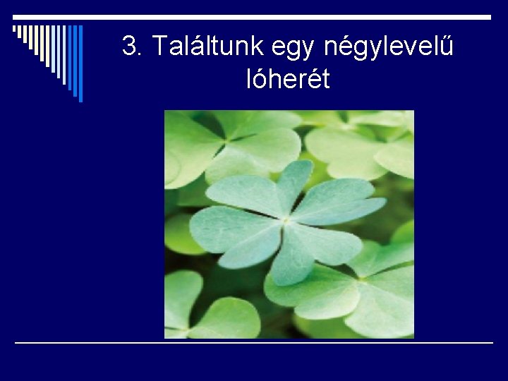 3. Találtunk egy négylevelű lóherét 