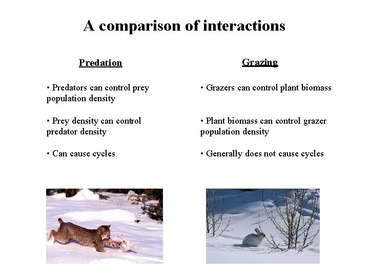 A comparison of interactions Predation Grazing • Predators can control prey population density •