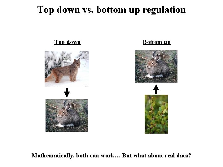 Top down vs. bottom up regulation Top down Bottom up Mathematically, both can work…