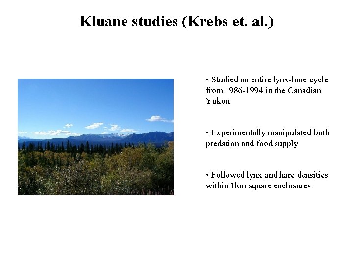 Kluane studies (Krebs et. al. ) • Studied an entire lynx-hare cycle from 1986