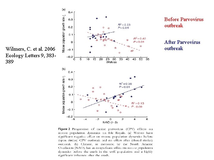 Before Parvovirus outbreak Wilmers, C. et al. 2006 Ecology Letters 9, 383389 After Parvovirus