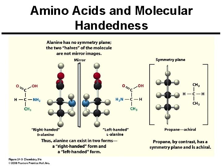 Amino Acids and Molecular Handedness 
