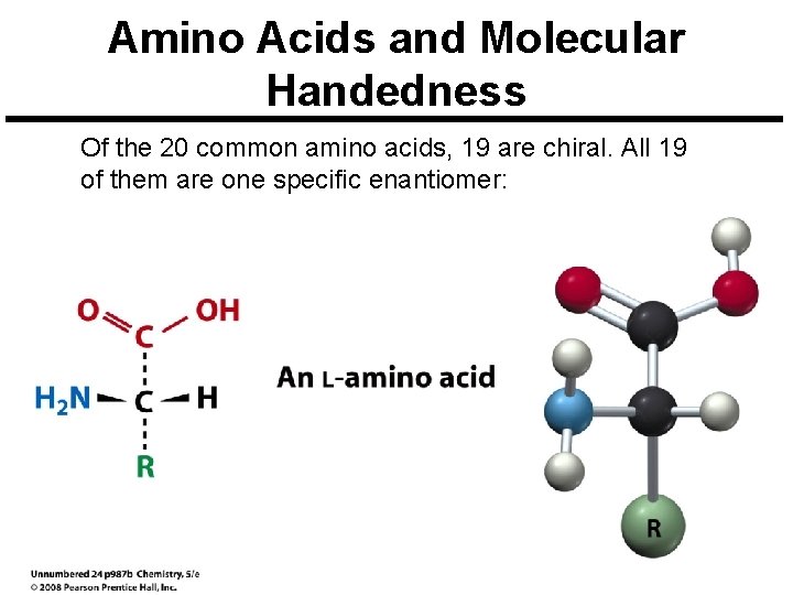 Amino Acids and Molecular Handedness Of the 20 common amino acids, 19 are chiral.