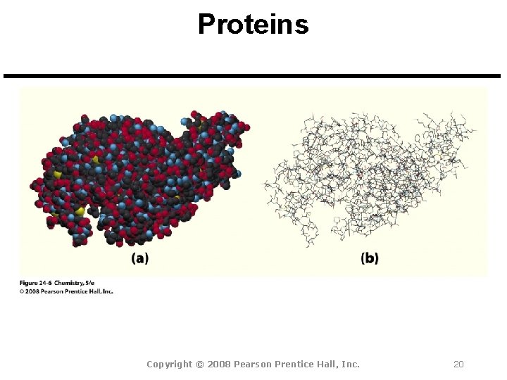 Proteins Copyright © 2008 Pearson Prentice Hall, Inc. 20 