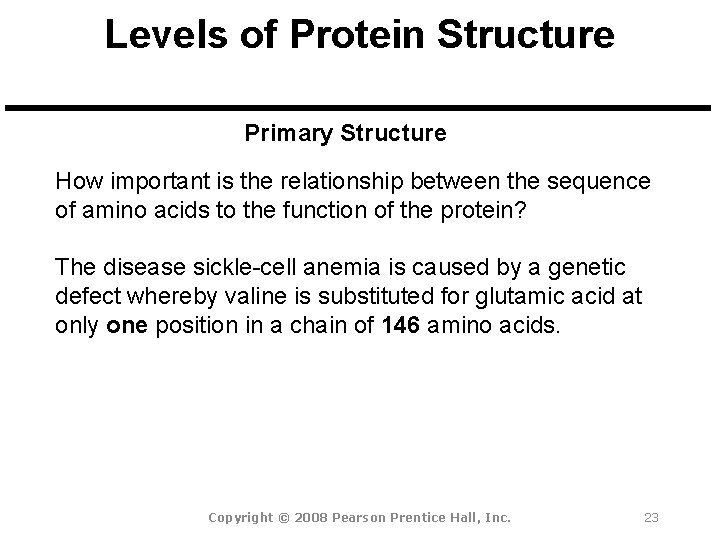 Levels of Protein Structure Primary Structure How important is the relationship between the sequence