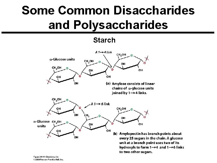 Some Common Disaccharides and Polysaccharides Starch 