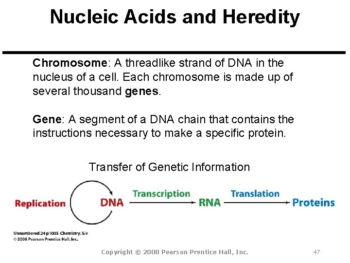 Nucleic Acids and Heredity Chromosome: A threadlike strand of DNA in the nucleus of