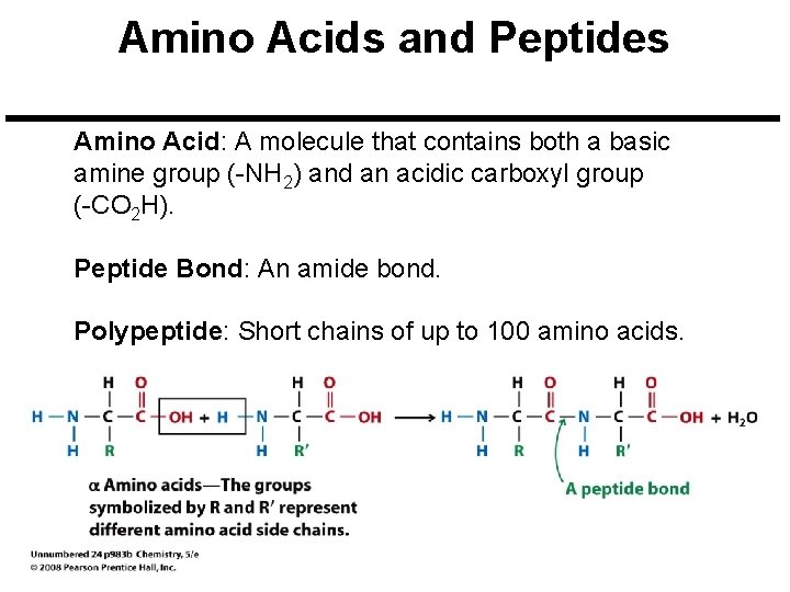 Amino Acids and Peptides Amino Acid: A molecule that contains both a basic amine