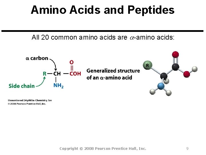 Amino Acids and Peptides All 20 common amino acids are a-amino acids: Copyright ©