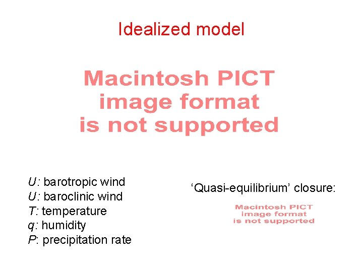 Idealized model U: barotropic wind U: baroclinic wind T: temperature q: humidity P: precipitation