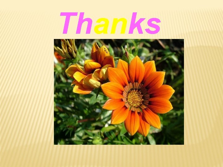 Thanks 