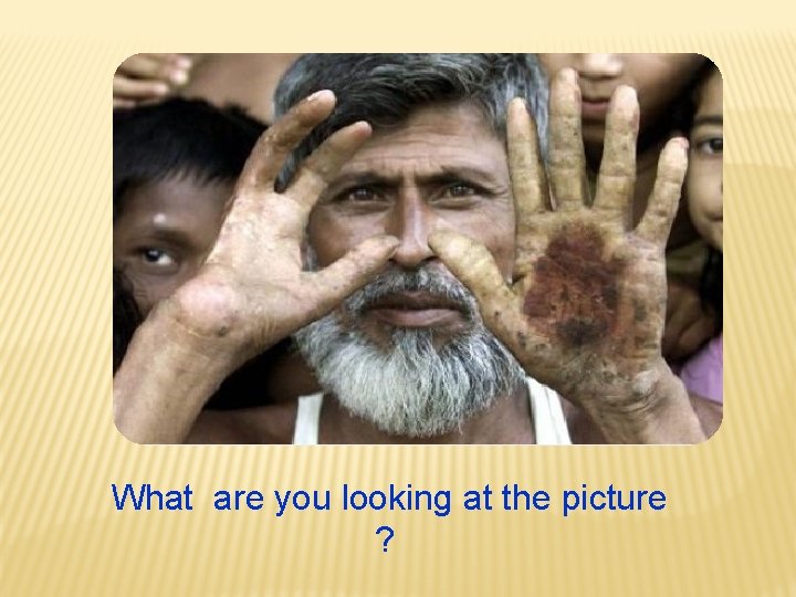 What are you looking at the picture ? 