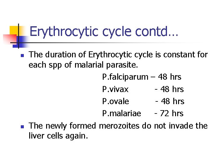 Erythrocytic cycle contd… n n The duration of Erythrocytic cycle is constant for each