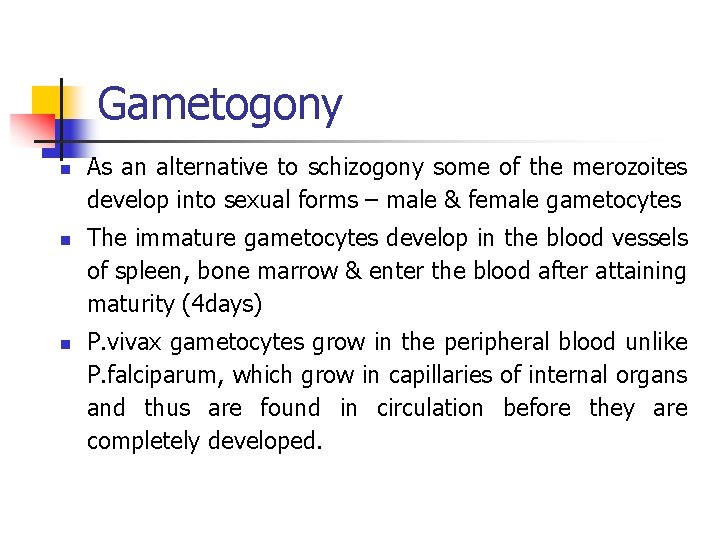 Gametogony n n n As an alternative to schizogony some of the merozoites develop