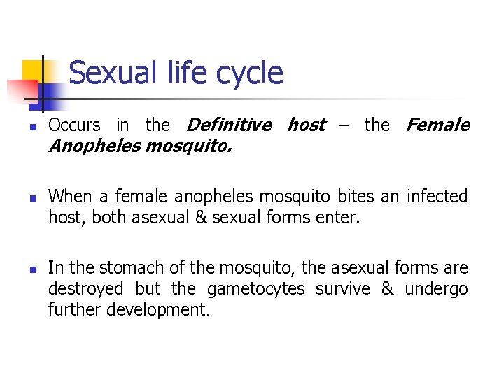 Sexual life cycle n Occurs in the Definitive host – the Female Anopheles mosquito.