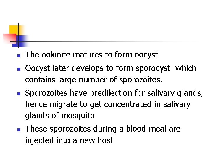 n n The ookinite matures to form oocyst Oocyst later develops to form sporocyst