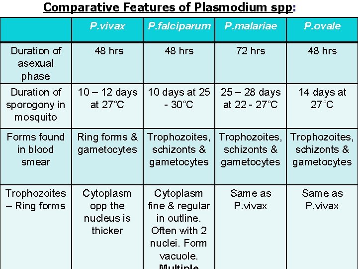 Comparative Features of Plasmodium spp: Duration of asexual phase P. vivax P. falciparum P.