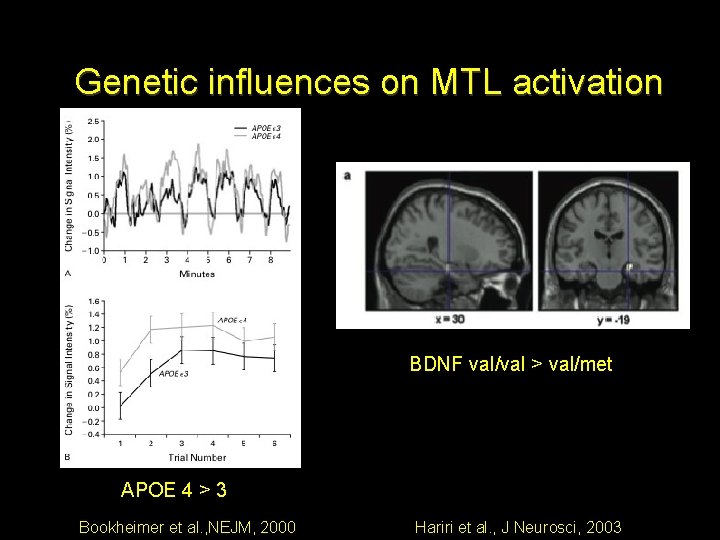 Genetic influences on MTL activation BDNF val/val > val/met APOE 4 > 3 Bookheimer Genetic influences on MTL activation BDNF val/val > val/met APOE 4 > 3 Bookheimer
