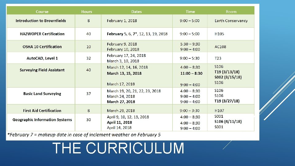 THE CURRICULUM 